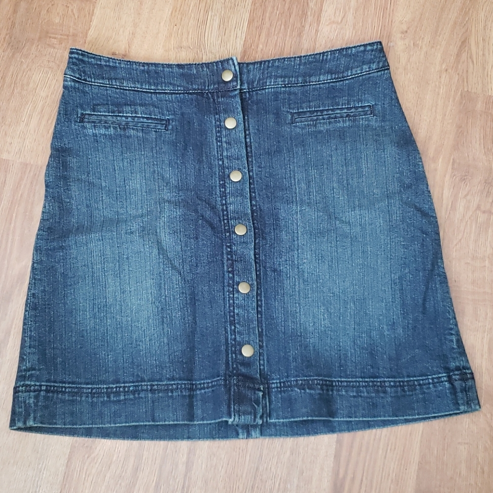 The Limited Skirt